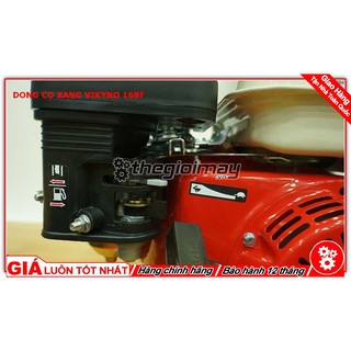 Động cơ 5.5hp Vikyno 168F