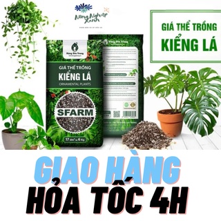 Giá thể, đất trồng Kiểng Lá gói 17dm3 ( khoảng 6kg )