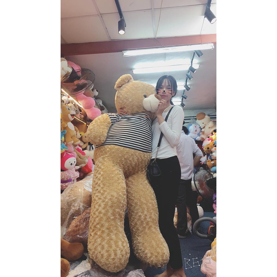 Gấu bông Teddy màu vàng mật ong đủ kích thước từ 90cm-1m9