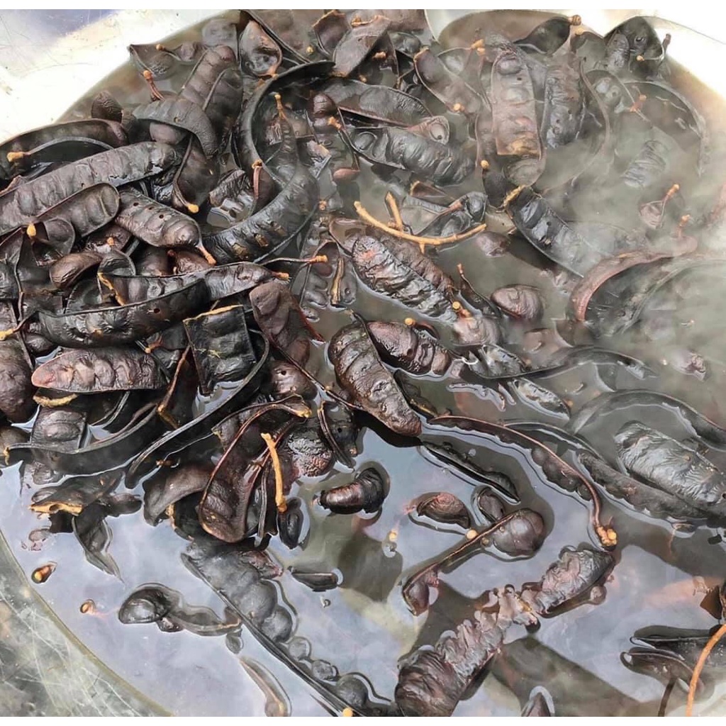 Xịt Kích Mọc Tóc Bồ Kết - Healing Corner