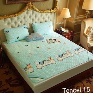 Chiếu điều hoà Tencel 2018 size 2m2