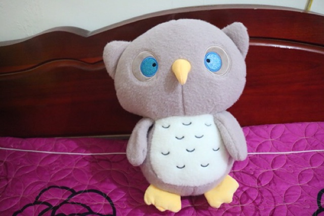 Gấu bông chim cú mèo nhồi bông dễ thương nhiều màu