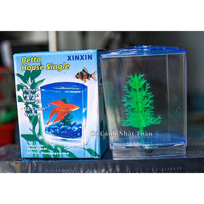 BỂ NUÔI CÁ BETTA 1 NGĂN MECA XINXIN
