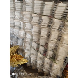 HÀNG RÀO CÂY THÔNG NOEL