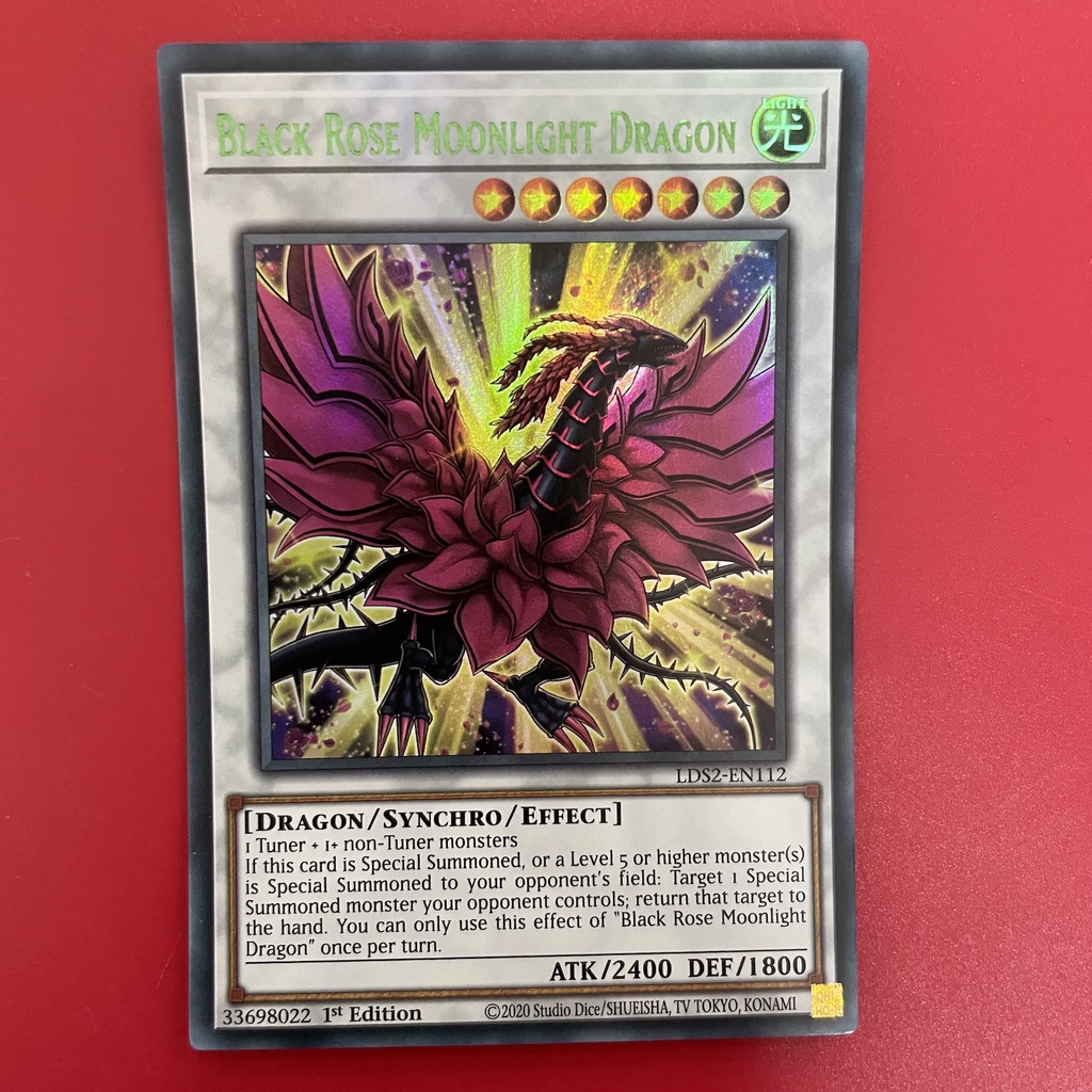 Black Rose Moonlight Dragon