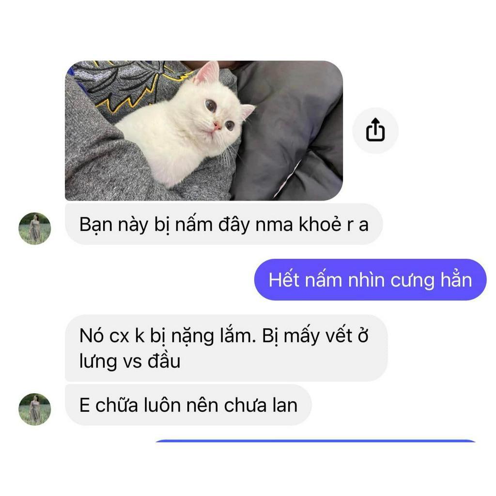 Viên ăn nấm, ghẻ, viêm da cho chó 50day-5kg