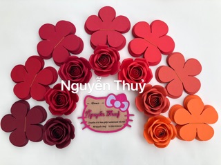 Set cánh hoa cắt sẵn