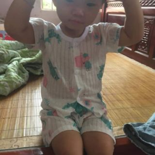 Combo 10 bộ cotton giấy