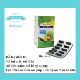 (CHÍNH HÃNG) Bài thạch HADOPHARMA Hộp 60 viên