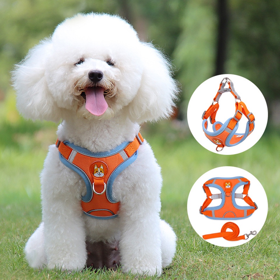 Dây dắt thú cưng đi dạo bằng nylon phản quang có thể điều chỉnh