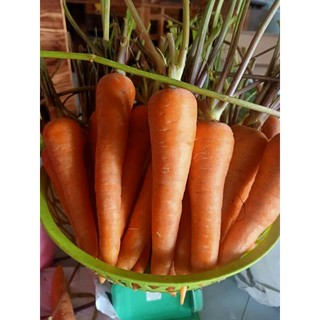 3 kg Cà rốt Đà Lạt