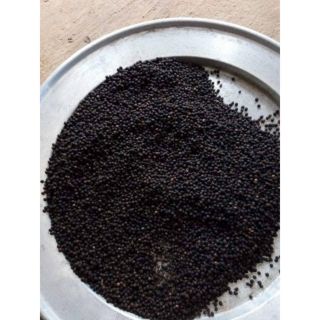 100 gr tiêu đen