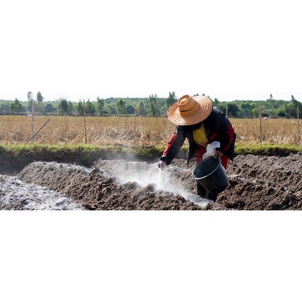 Chế phẩm vi sinh chuyên dùng cho xử lý đất - chống nấm/ sùng đất