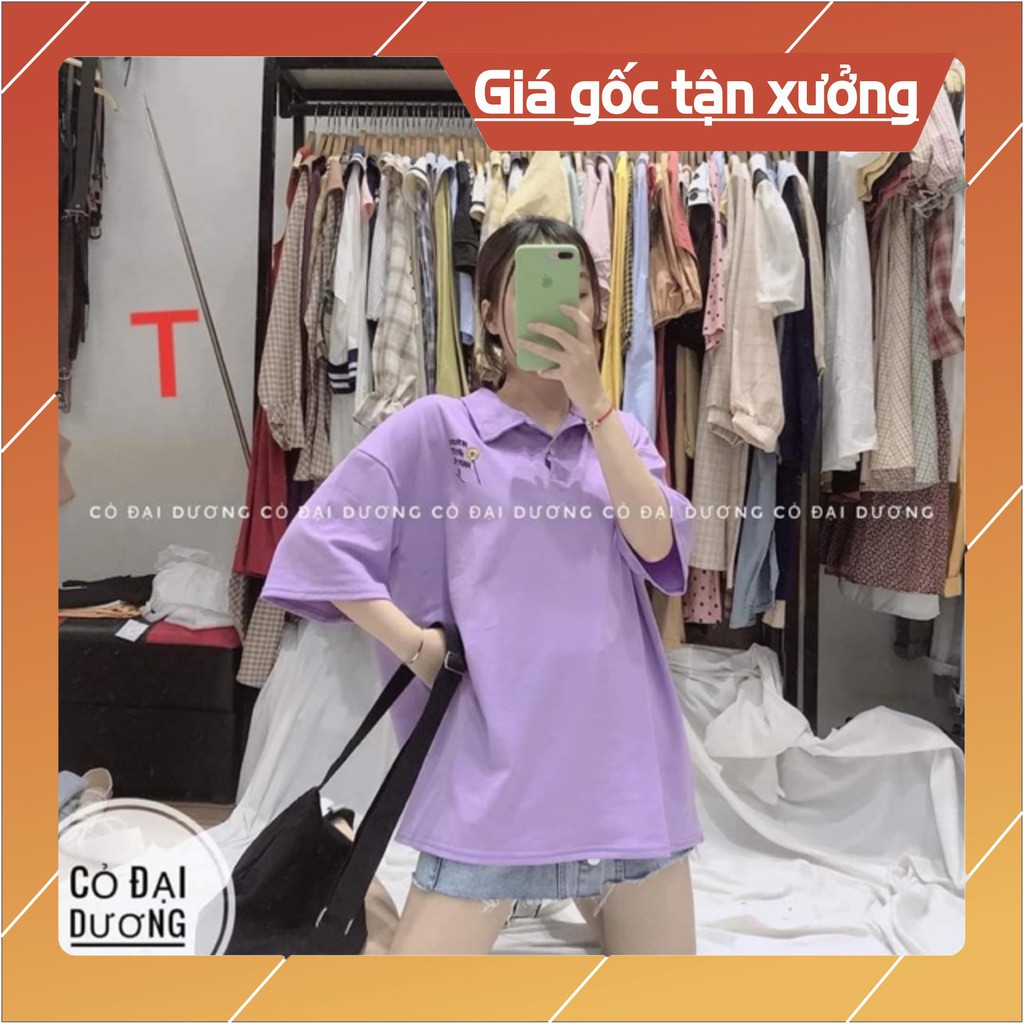 Áo polo chữ hoa TT12