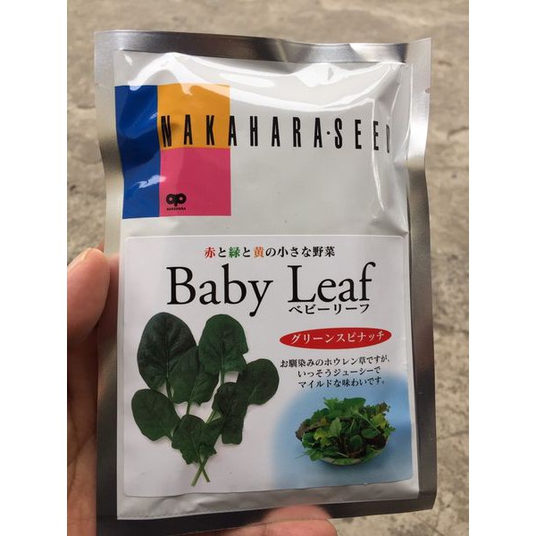 ATP Farm - Hạt giống cải BÓ XÔI BINA BABYLEAF - Nhật Bản