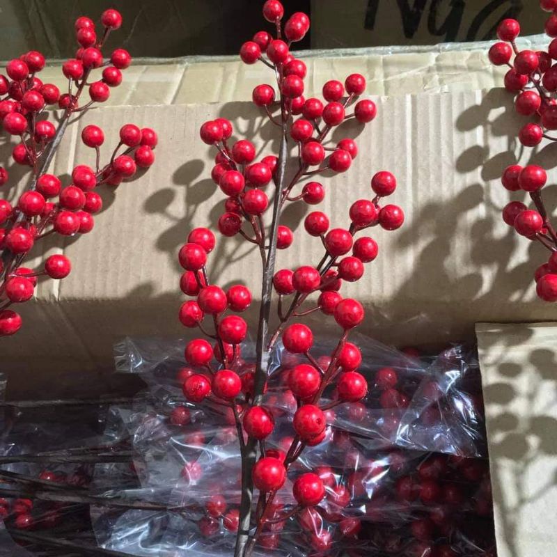 Cành Đào Đông Hút Tài Lộc, 12 Nhánh và 6 Nhánh Cao Cấp