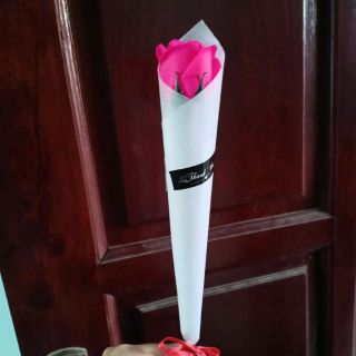 Sỉ hoa sáp bông đơn