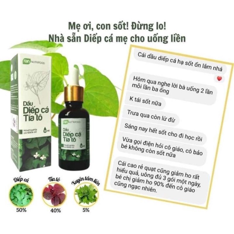 Dầu diếp cá tía tô