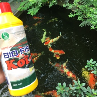 Vi Sinh Thảo Dược Hồ Cá Koi Bio Fish Koi 1000ml. Vi Sinh Phân Hủy Chất Thải, Khử Mùi Tanh, Làm Trong Nước