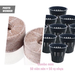Combo 50 Rọ nhựa trồng rau và 50 Viên nén xơ dừa