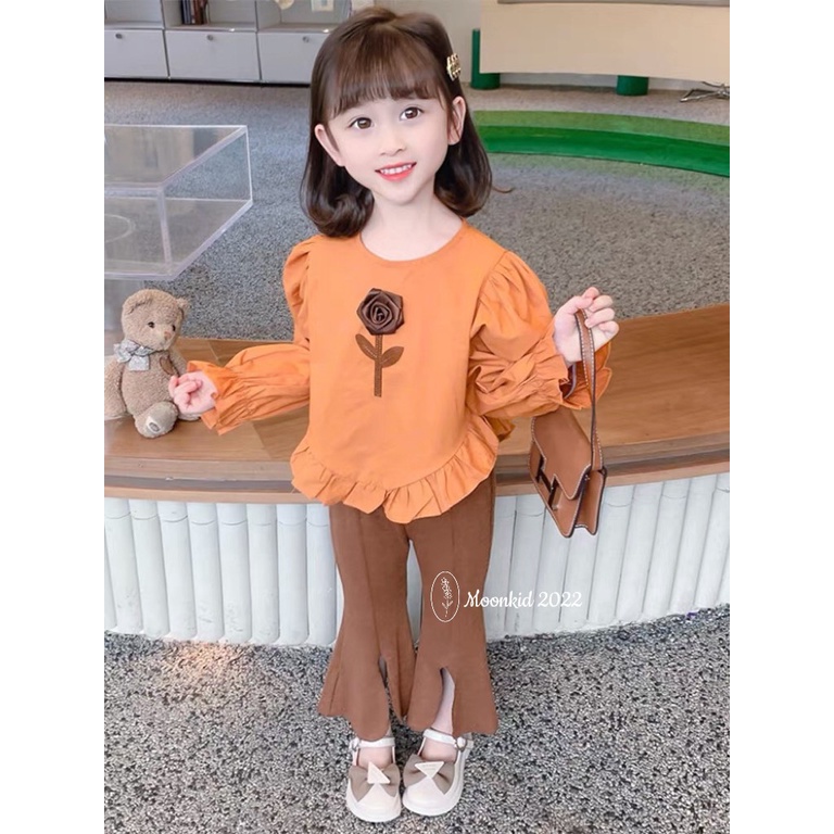 Bộ bé gái dài tay bánh bèo kết hợp quần ống loe gấu cho bé từ 8-20kg
