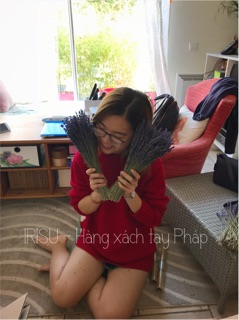 Hoa Oải Hương Lavende - Pháp