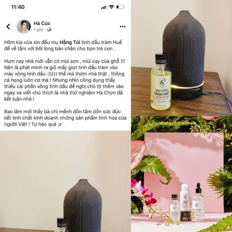 Sam Natural Tinh dầu tràm huế 50ml
