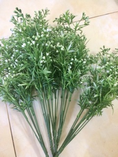 Cành điểm hoa trắng