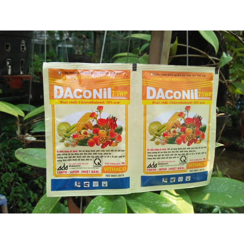 DACONIL 75WP – THUỐC ĐẶC TRỊ BỆNH THÁN THƯ, ĐỐM LÁ, ĐỔ NGÃ CÂY CON