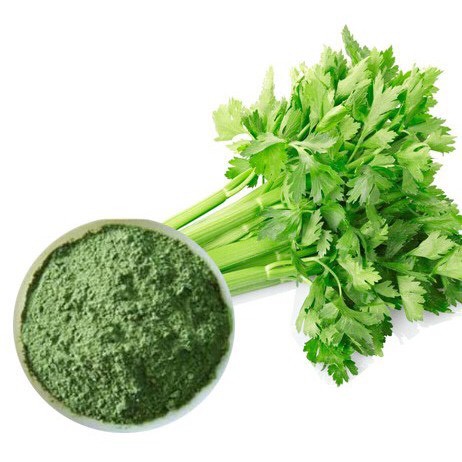 Bột Cần Tây dalahouse 50gr - Thực Phẩm Sạch Từ Rau Củ Quả | BigBuy360 - bigbuy360.vn