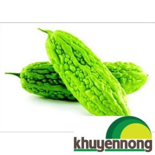 10 Hạt giống mướp đắng xanh