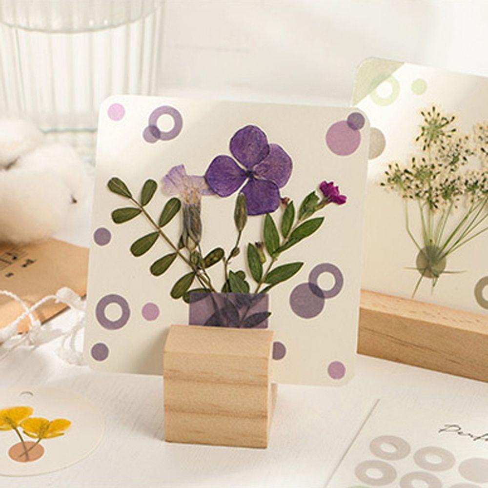 Nhãn Dán Trang Trí Album Ảnh / Điện Thoại Màu Sắc Tự Nhiên