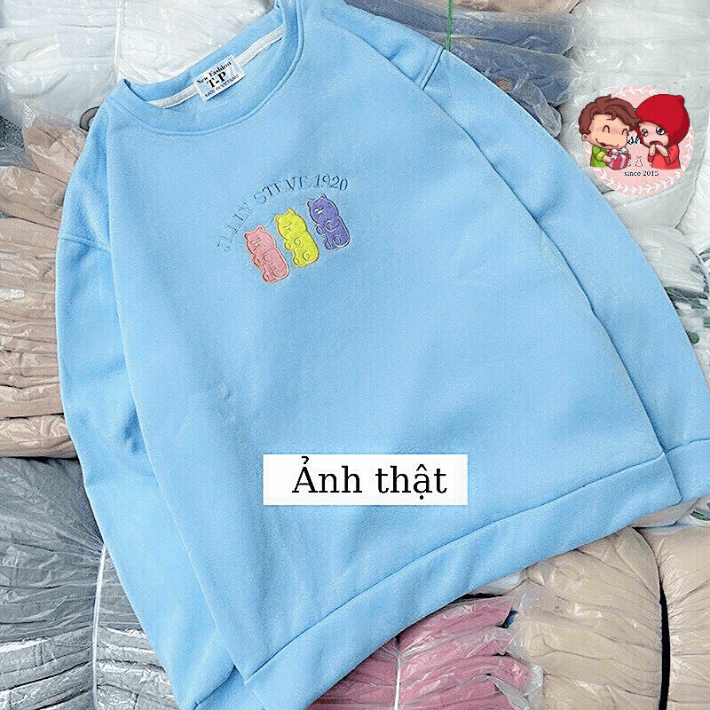 Áo Sweater Nữ Cổ Chui Chất Nỉ Mềm Mịn Thêu Gấu Form Rộng Mặc Thoải Mái Che Nắng Chắn Gió Tốt [NEW UNISEX]