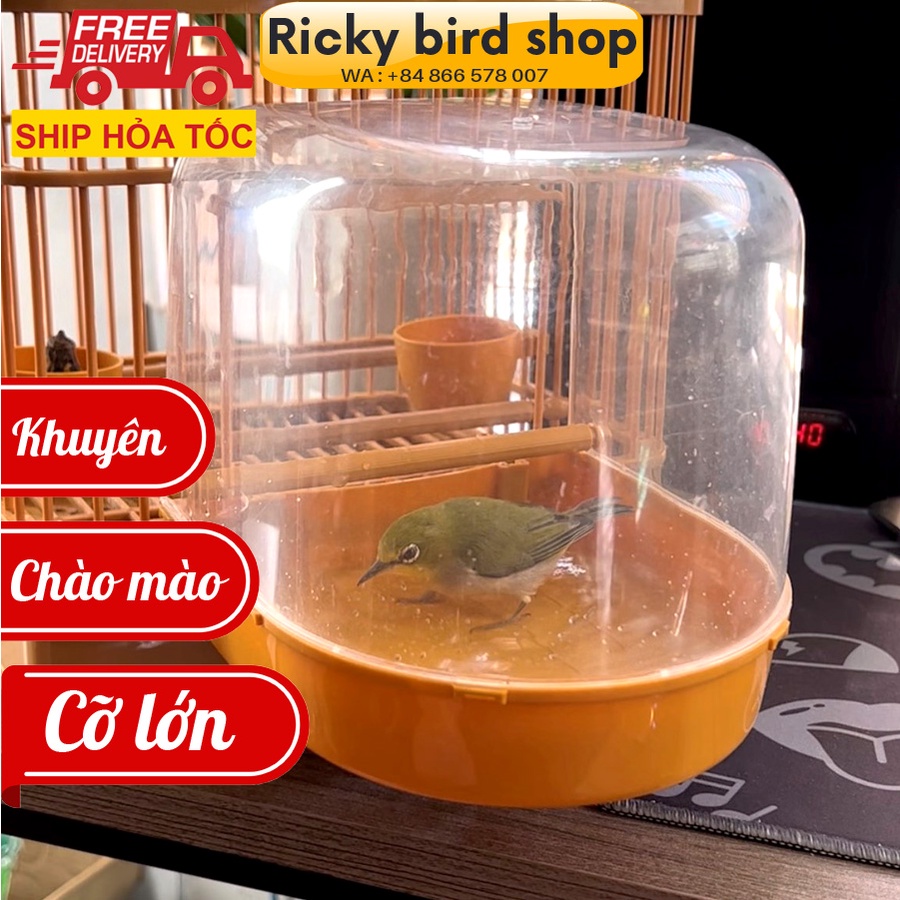 Lồng tắm chim chào mào, khuyên - Lồng tắm chim cài lồng cỡ lớn tiện lợi - Ricky bird shop