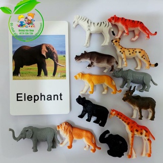 Mô hình 12 động vật hoang dã kèm thẻ