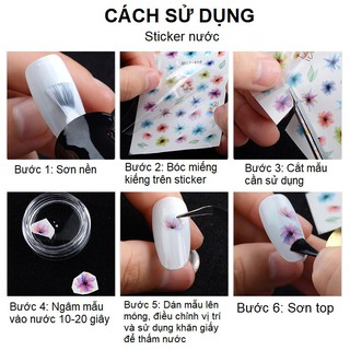 Sticker nước set 12 mẫu - Da beo