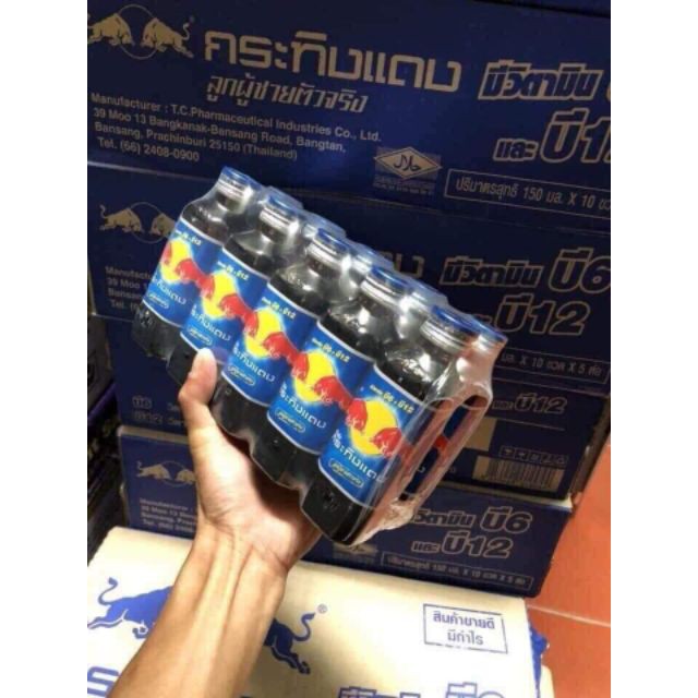 Bò húc chai sành thái lan