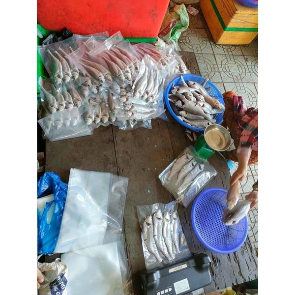 KHÔ CÁ SỬU 1 NẮNG TẠI XƯỞNG