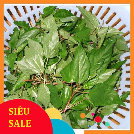 10g Hạt giống Rau Đay đỏ