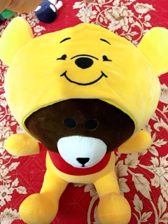 Gấu bông brown thanh lí !