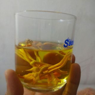Đông trùng hạ thảo