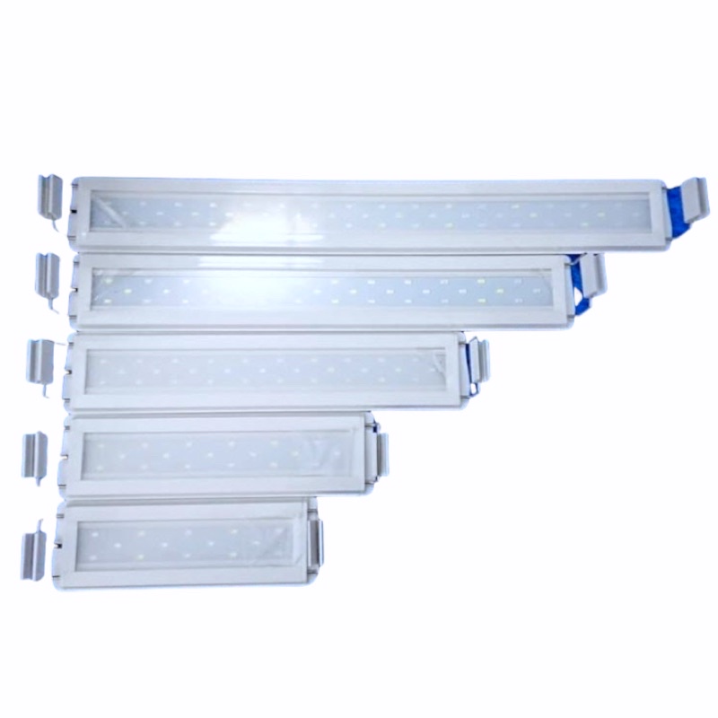 Đèn led thuỷ sinh bể cá quanlong xml - đèn hồ cá thuỷ sinh size 20 tới 1m