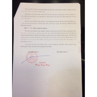 ÁO PHÔNG CỔ TRÒN CALUCI