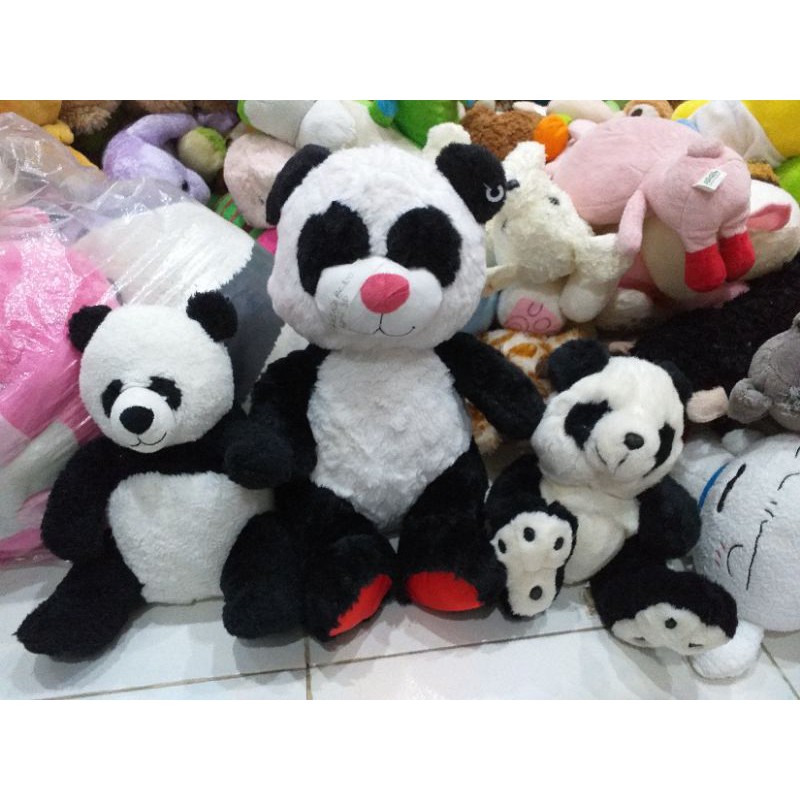 Gấu bông Alicia  Sereno