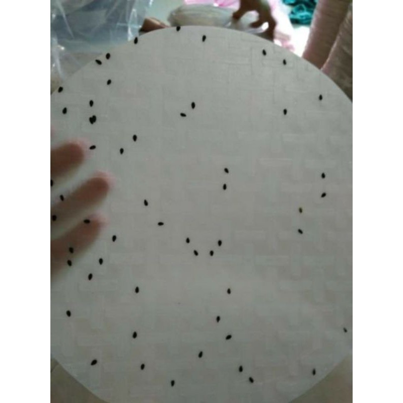 COMBO 6KG NƯỚNG VÀ 500GRAM RUỐC s