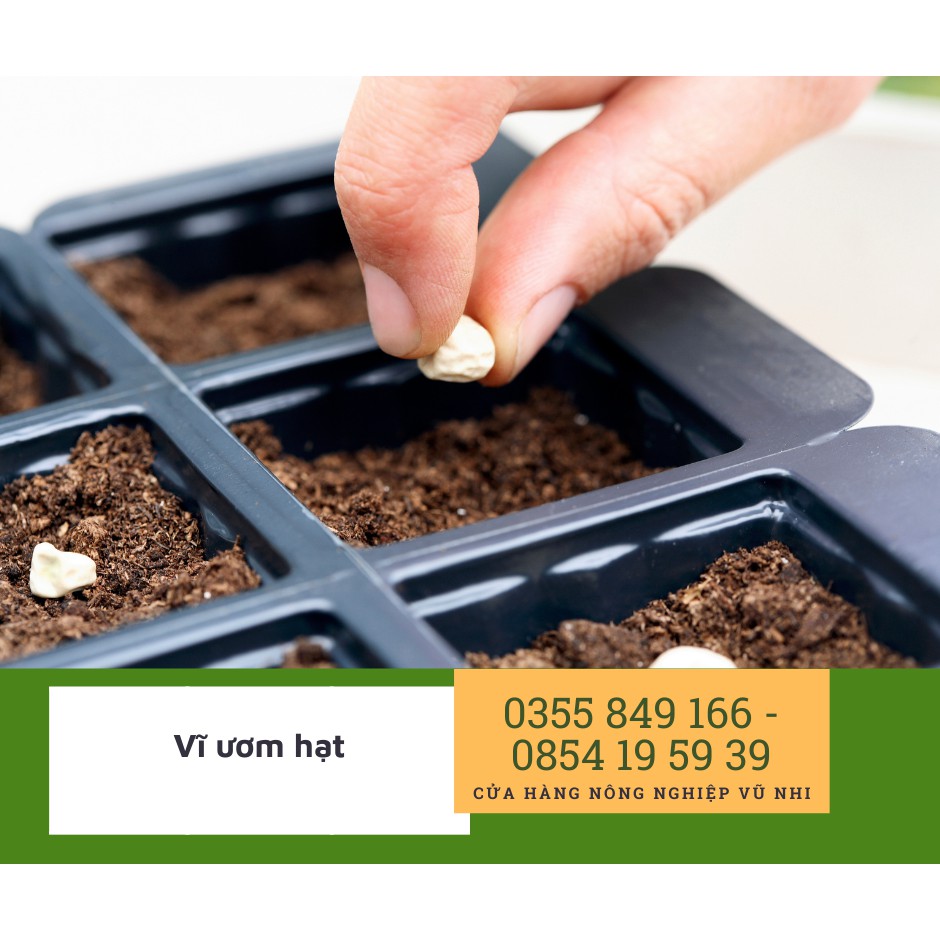 Khay ươm hạt giống 104 lỗ/khay dày đẹp