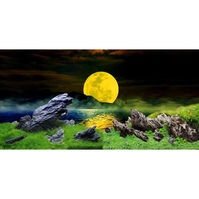 Tranh 3D dán hồ cá kích thước 100x50