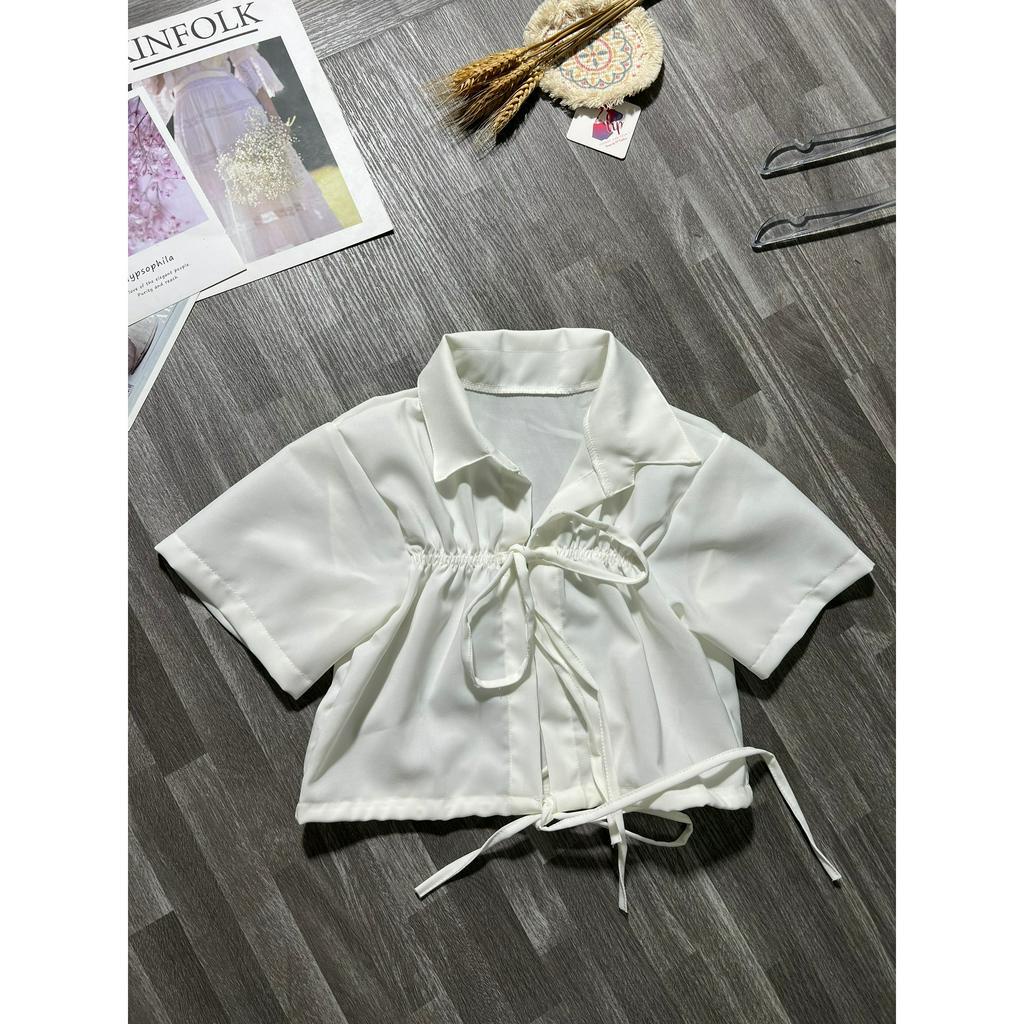 Áo croptop cổ sơ mi, áo kiểu nữ tay ngắn cột nơ G57