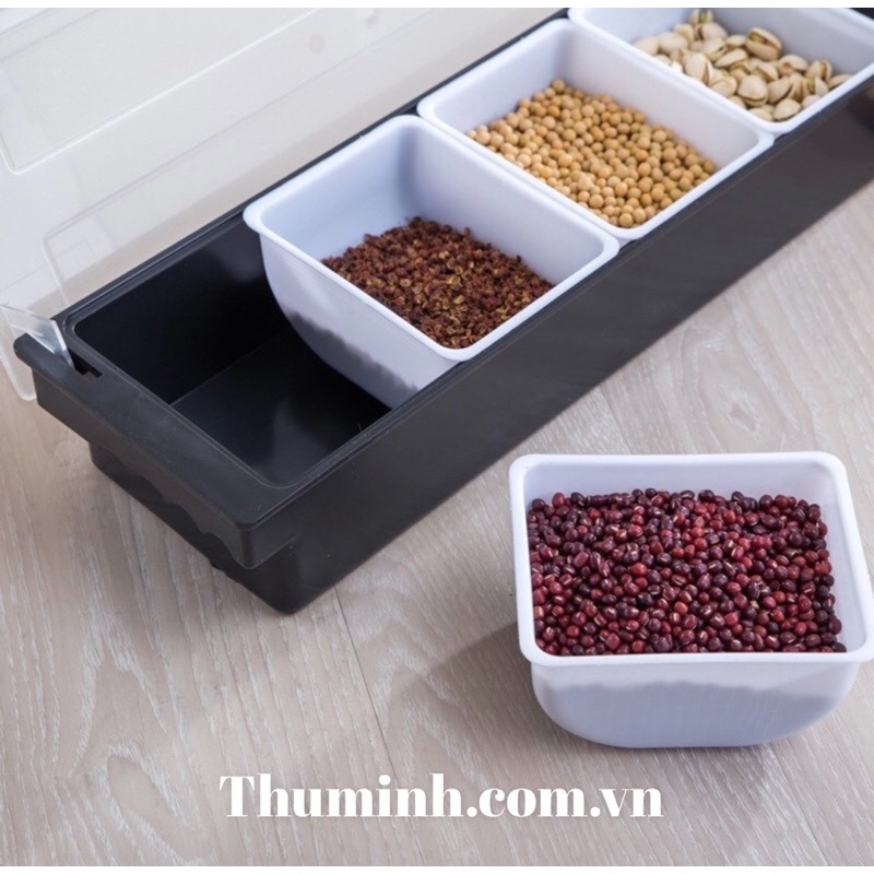 Khay Đựng Topping, Đựng Thạch, Đựng Trái Cây Nhựa Cao Cấp 4-5 -6 Ngăn