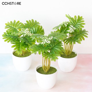 Bộ chậu cây cảnh giả dùng trang trí đám cưới